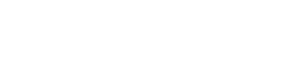 Brandflow — the Brandwell client portal